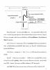 2014-10-12 PiromLetter08.jpg 2.1K